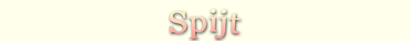 02_spijt.png, 3,3kB